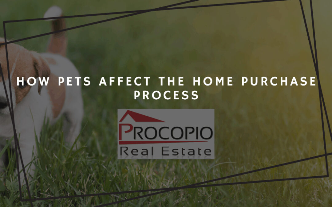 How Pets Affect the Home Purchase Process