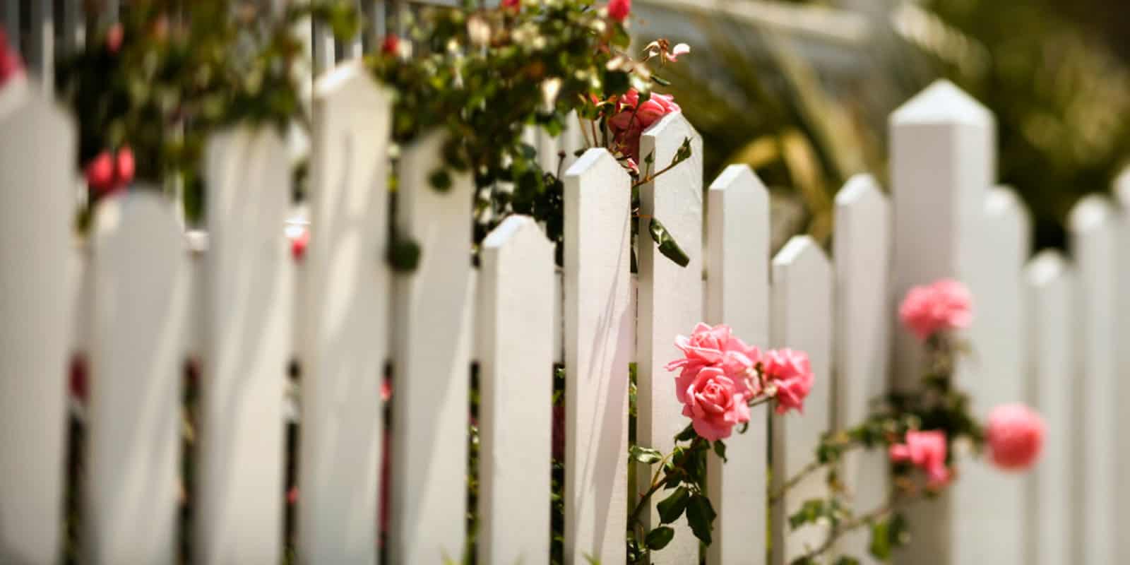 picket fence design